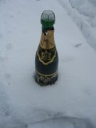 IMG_4511.jpg