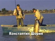 0338e216d4f6.jpg