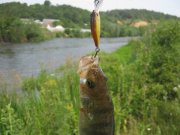 Изменение размера IMG_3740.jpg
