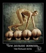 getImage.jpegкпк.jpeg