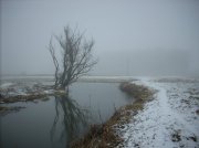 DSCN8222.jpg