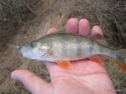 IMG_0047.JPG
