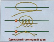 clip_image002.jpg