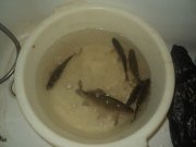 DSC05165.jpg