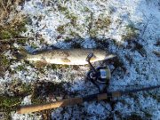 20120114_111546.jpg