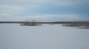 IMG_1063.jpg