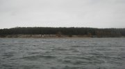 IMG_1068.jpg