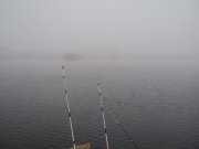 DSC05168.jpg