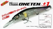 Vision Oneten Plus1.jpg