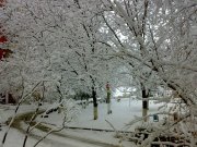 150120121496.jpg