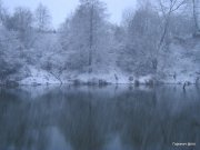 IMG_0172.JPG