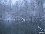 IMG_0173.JPG