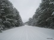 IMG_0185.JPG