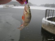 IMG_0187.JPG