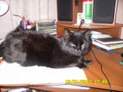 SAM_1190.jpg
