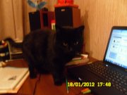 SAM_1192.jpg