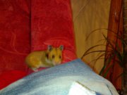 031220111540.jpg