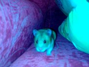 031220111541.jpg