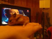 031220111543.jpg