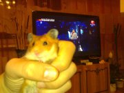 031220111551.jpg