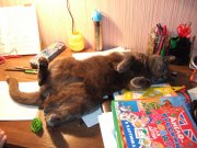DSCF6538.JPG