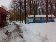 10012010725.jpg