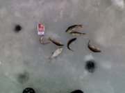190120121598.jpg