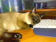 18062007119.jpg