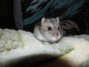 IMG_8127.jpg