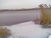 21012012262.jpg