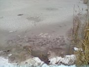 21012012267.jpg