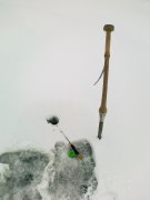 21012012135.jpg