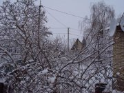 DSC04017.JPG