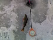 230120121605.jpg