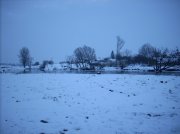DSCN8366.jpg