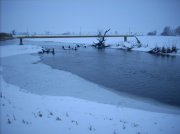 DSCN8367.jpg