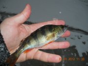 DSCN3615.jpg