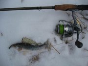 IMG_4532.jpg