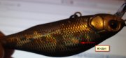 2012-01-25_212135.jpg