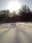 DSC00192.jpg