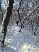 DSC00203.jpg