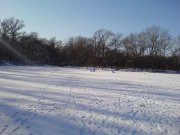 DSC00200.jpg
