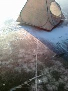29012012541.jpg