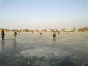 29012012264.jpg