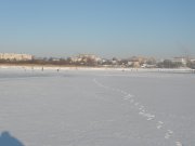 P1290009.JPG