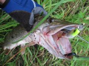 IMG_0022.jpg