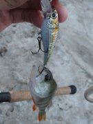 IMG_0026.jpg