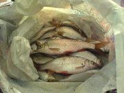 DSC00224.jpg