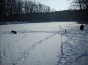 DSCN8515.jpg