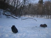 IMG_5664_новый размер.jpg